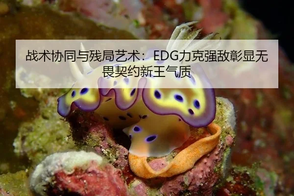 zhan-shu-xie-tong-yu-can-ju-yi-shu-li-ke-qiang-di-zhang-xian-wu-wei-qi-yue-xin-wang-qi-zhi-2-197.jpg