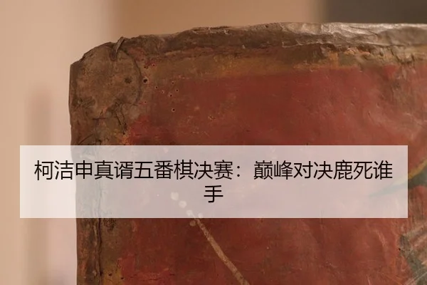 ke-jie-shen-zhen-xu-wu-fan-qi-jue-sai-dian-feng-dui-jue-lu-si-shei-shou-3-898.jpg