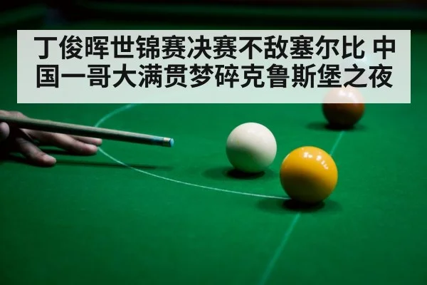 丁俊晖世锦赛决赛不敌塞尔比 中国一哥大满贯梦碎克鲁斯堡之夜